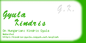 gyula kindris business card